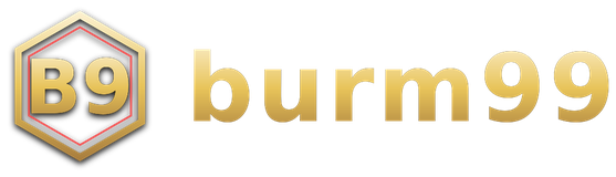 burm99 logo
